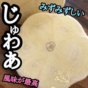青森生にんにく40玉★年に1度、収穫時期しか食べられない逸品です★【配送不可地域：離島】【1619326】