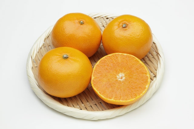 
                  【先行受付】柑橘の鬼たちがつくる八幡浜産・せとか3kg ＜E56-20＞_  ミカン みかん 常温 フルーツ 果物 くだもの 人気 柑橘 かんきつ 愛媛 旬 産地直送 産直 季節限定 家庭用 甘い 限定  【1270402】 YWTAS014
                