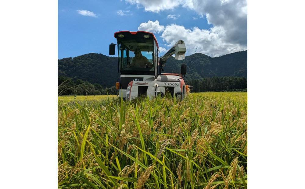 1805.令和7年産　こしひかり　10kg