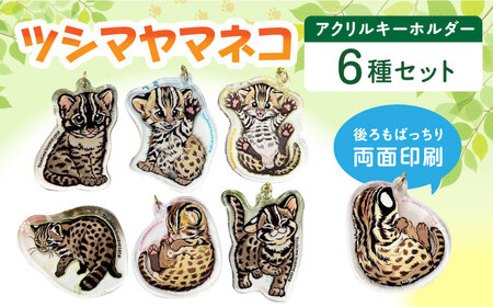 対馬 オリジナル ツシマヤマネコ 両面 アクリルキーホルダー 6種セット 対馬山猫 アクキー お土産 にゃんこ 赤ちゃん [WAP018]
