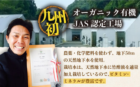 【全3回定期便】平戸有機きのこ栽培セット詰合せ〜旨み凝縮椎茸の芽付き〜 【きのこ屋】[KAD285]