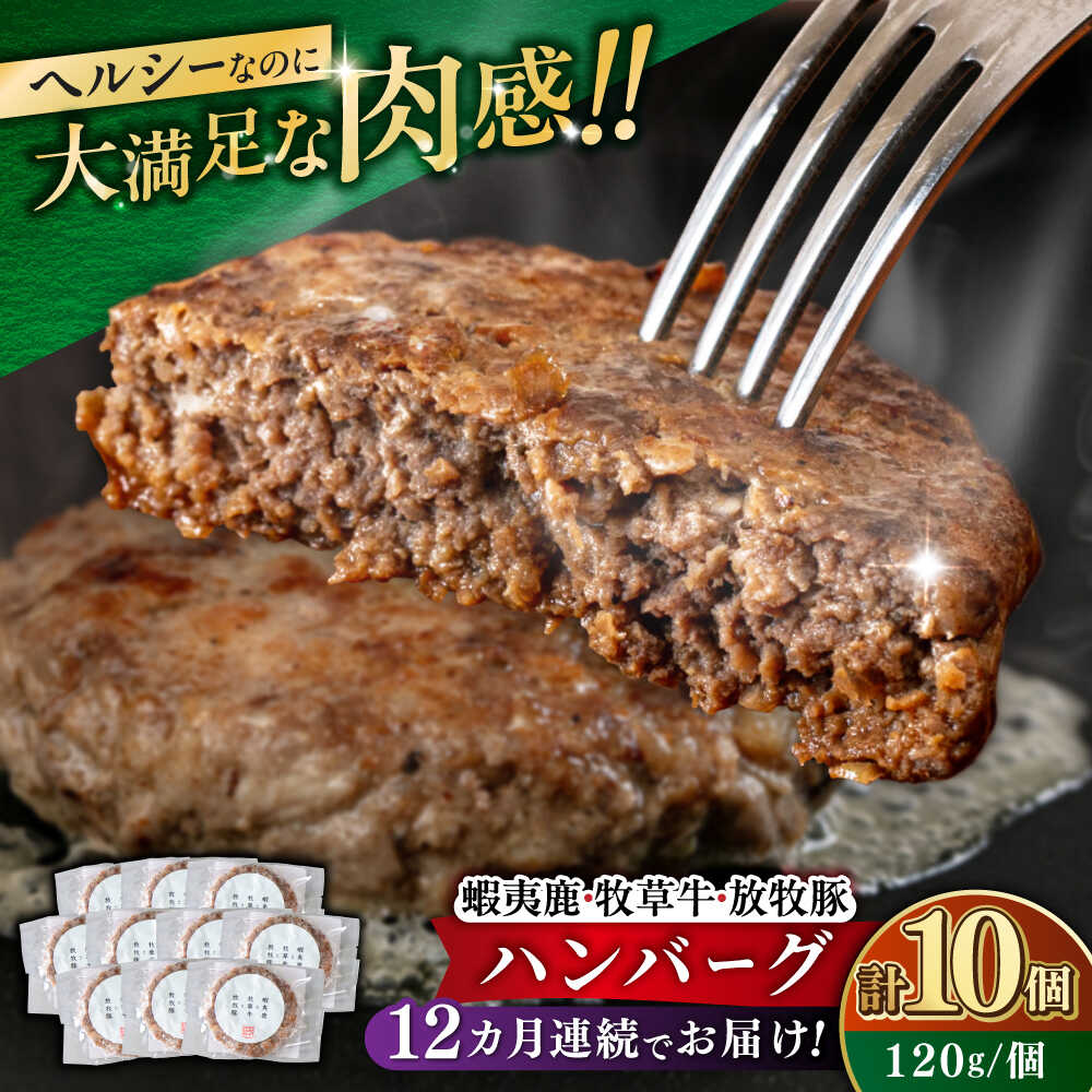 【ふるさと納税】【全12回定期便】【蝦夷鹿×牧草牛×放牧豚】ハンバーグ 10個《厚真町》【GOODGOOD株式会社】 ハンバーグ 鹿肉 牛肉 豚肉 小分け 冷凍配送 北海道[AXBP033]