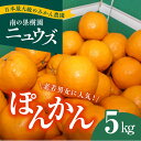 【ふるさと納税】【先行予約受付中】産地直送！愛媛県産ぽんかん 5kg　※2025年1月上旬～1月下旬頃に順次発送予定　≪柑橘 みかん ギフト≫