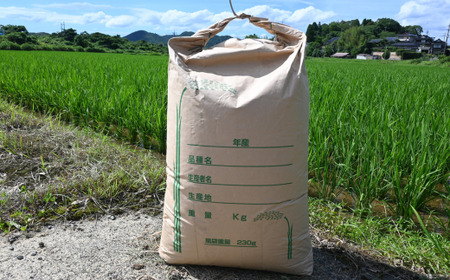 【先行予約／令和8年産新米】 ひとめぼれ 30Kg ［玄米］ 玄米