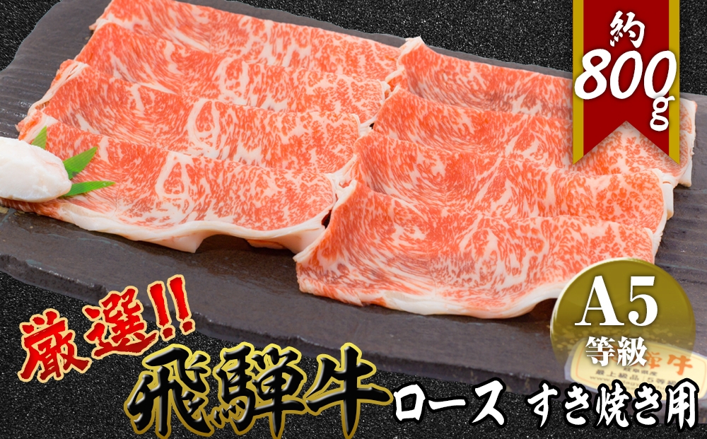
                  店主こだわり雌牛 飛騨牛A5等級　ロース　すき焼き用　約800g [No.066] ／ 牛肉 ブランド牛 すきやき メス牛 冷凍 岐阜県 特産
                
