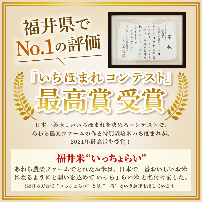 【令和8年産】【一等米】ハナエチゼン 精米 5kg ×1袋《発送直前精米！》 ／ 福井県産 ブランド米 ご飯 白米 お米 コメ 新鮮 大賞 受賞 新米 [aw012-a034]