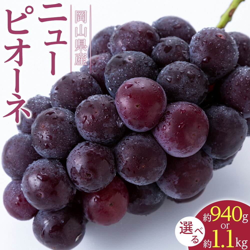 【ふるさと納税】ぶどう 2025年 先行予約 ニュー ピオーネ 約940g または 約1.1kg ブドウ 葡萄 岡山県産 国産 フルーツ 果物 ギフト | フルーツ 果物 くだもの 食品 人気 おすすめ 送料無料