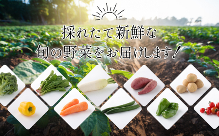 朝どれ野菜１０品目【４ヶ月連続定期便】～新型コロナ支援 _rk005