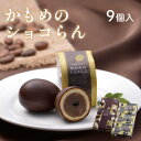 【ふるさと納税】 かもめのショコらん9個入 お菓子 おかし スイーツ 洋菓子 銘菓 チョコレート チョコ ショコラ 焼き菓子 焼菓子 餡 おやつ かもめのたまご お土産 ギフト 夏ギフト お中元 御中元 さいとう製菓 三陸 岩手県 大船渡市