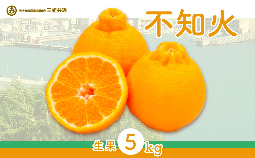
                  【先行予約】不知火（生果5kg）※離島への配送不可（2027年2月上旬～2月下旬頃より順次発送予定） 【 ふるさと納税 人気 おすすめ ランキング 柑橘 みかん ミカン 不知火 しらぬい mikan 蜜柑 果物 生果 フルーツ デコポン と同品種 愛媛県産 愛媛県 伊方町 送料無料 】 IKTBD011
                