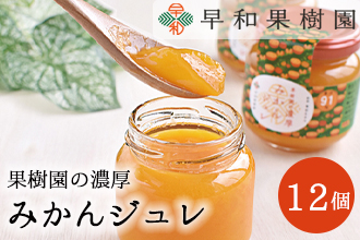 953.【早和果樹園】濃厚みかんジュレ（12個入）（A953-2）