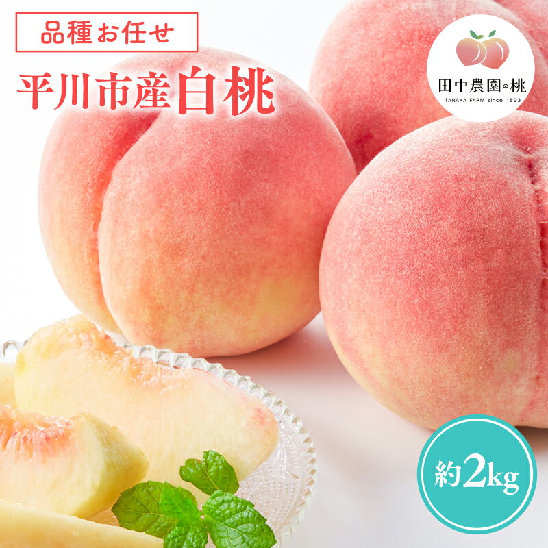 【ふるさと納税】≪8月〜9月発送予定≫ 品種お任せ 平川市産 白桃 約2kg (5-6玉） 【 青森県 平川市 田中農園 】フルーツ 果物 桃 もも モモ 白桃 ピーチ はくとう お取り寄せ 先行予約 旬 おまかせ レビューキャンペーン