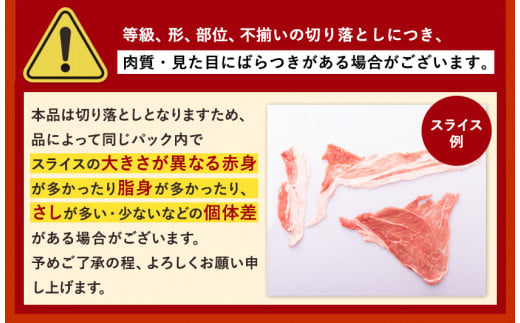 6ヶ月定期便 熊本うまかポーク 【全パック切り落とし】 計3.6kg 計6回お届け 《お申込み月の翌月から出荷開始》---fn_fuptei_23_68000_mo6num1_kir---