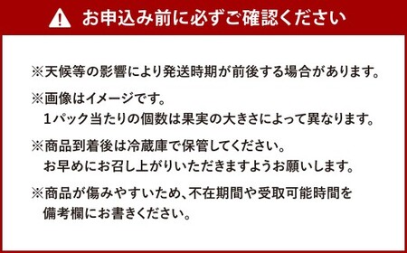 福岡県産 とよみつ姫 約1.2kg（約300g×4パック入り）【2026年9月下旬～10月下旬発送予定】 いちじく フルーツ 果物 くだもの