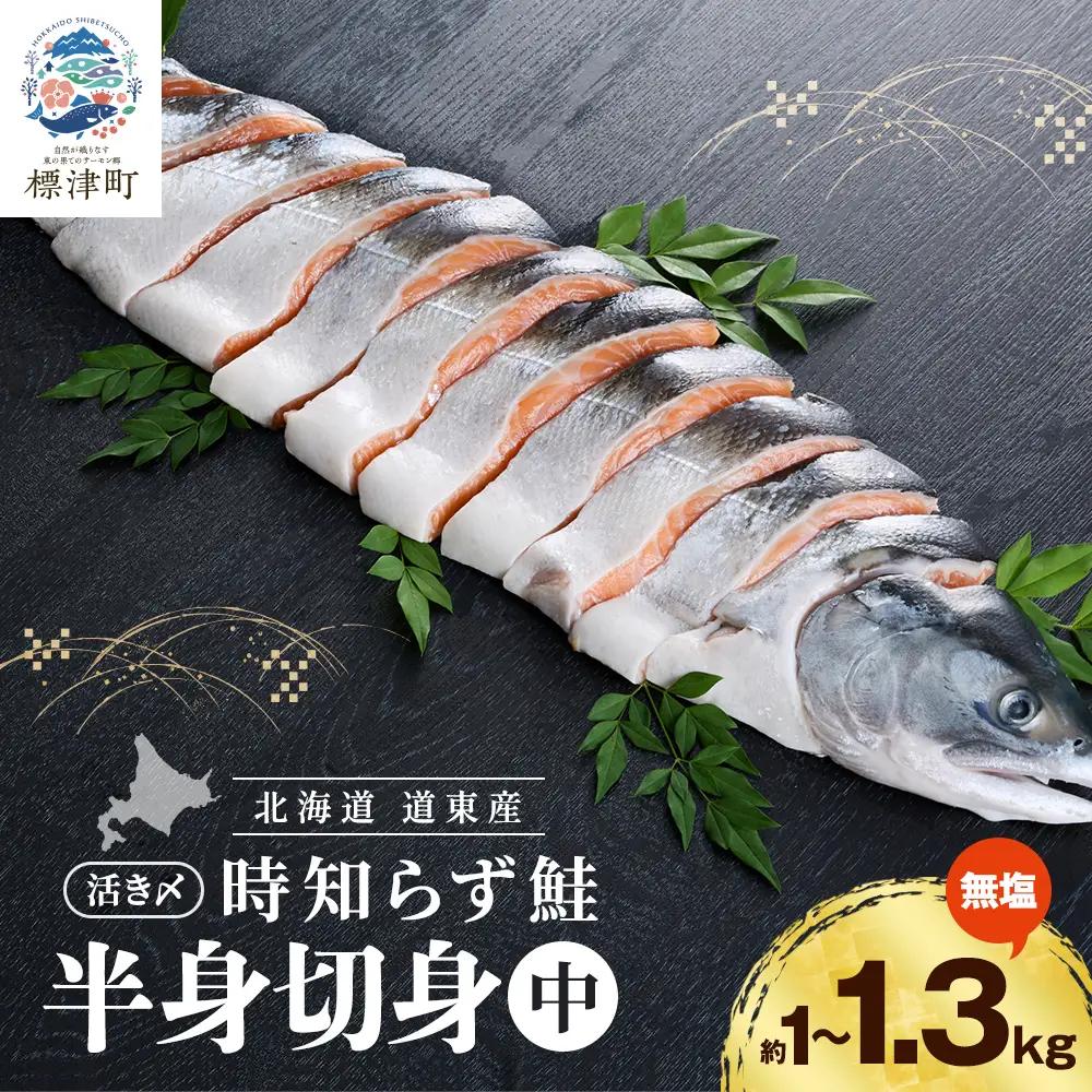 【さけの切り身】活き〆時知らずの鮭 約1kg~1.3kg さけ【AF】