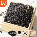 【ふるさと納税】訳あり 無選別 玄米 黒米 500g×2袋 計1kg 白川郷の古代米 黒米 もち米 紫黒米 雑穀 雑穀米 国産 岐阜県 栄養豊富 観光地応援 10000円 1万円 [S443]