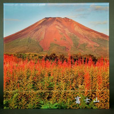 ふるさと納税 山梨県 富士山アクリルパネル　30SQ　夏