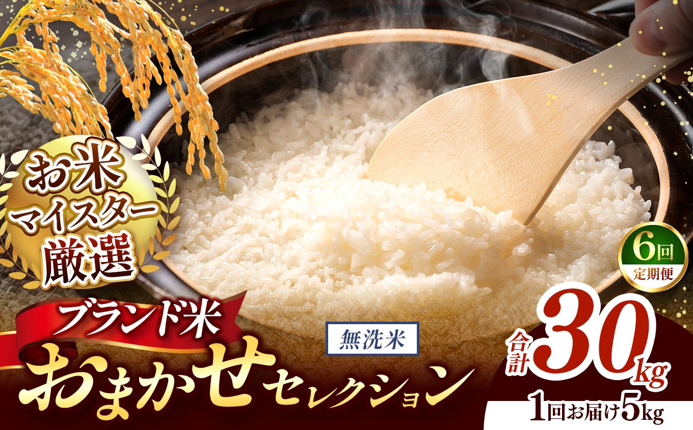 
                  【 令和7年産 】おまかせ セレクション 【定期便6回】熊本県産 無洗米  ＜ひのひかり / 森のくまさん / くまさんの輝き ＞ 5kg  | 単一銘柄 米 単一米 お米 こめ 小分け 人気 コメ お米 5kg 10kg 15kg 20kg 25kg 30kg 定期便 3回 6回 12回 ブランド米 菊池川流域 家庭用 送料無料 熊本 くまもと 熊本県 和水 和水町 人気 ごはん
                