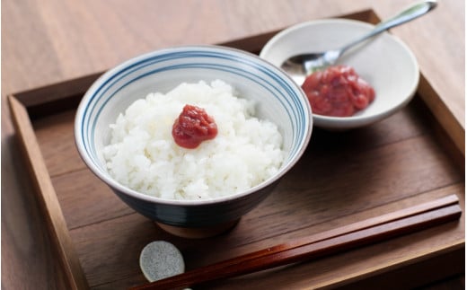 紀州南高梅 ねり梅セット （500g×３本）  / 田辺市 紀州南高梅 南高梅 梅干し 梅干 梅 うめ 肉厚 お米 梅肉 しそ しそ風味 練り梅 練梅【nkn007-2】