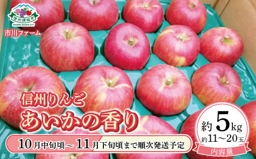 [5657-2680]信州りんご「あいかの香り」 約5kg (約11～20玉) 《市川ファーム》■2024年発送■※10月中旬頃～11月下旬頃まで順次発送予定