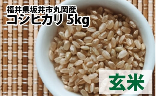 【先行予約】【令和7年産・新米】 福井県坂井市丸岡町産 コシヒカリ 計5kg（玄米）【2025年10月より順次発送予定】 [A-11304_02]