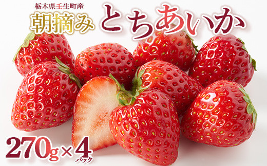 
            【先行受付】とちあいか 約270g×4パック ｜ いちご 苺 イチゴ 果物 フルーツ 人気 数量限定 カクテル ヨーグルト スムージー 旬 栃木県 壬生町 ※2026年1月中旬～3月下旬頃に順次発送予定
          