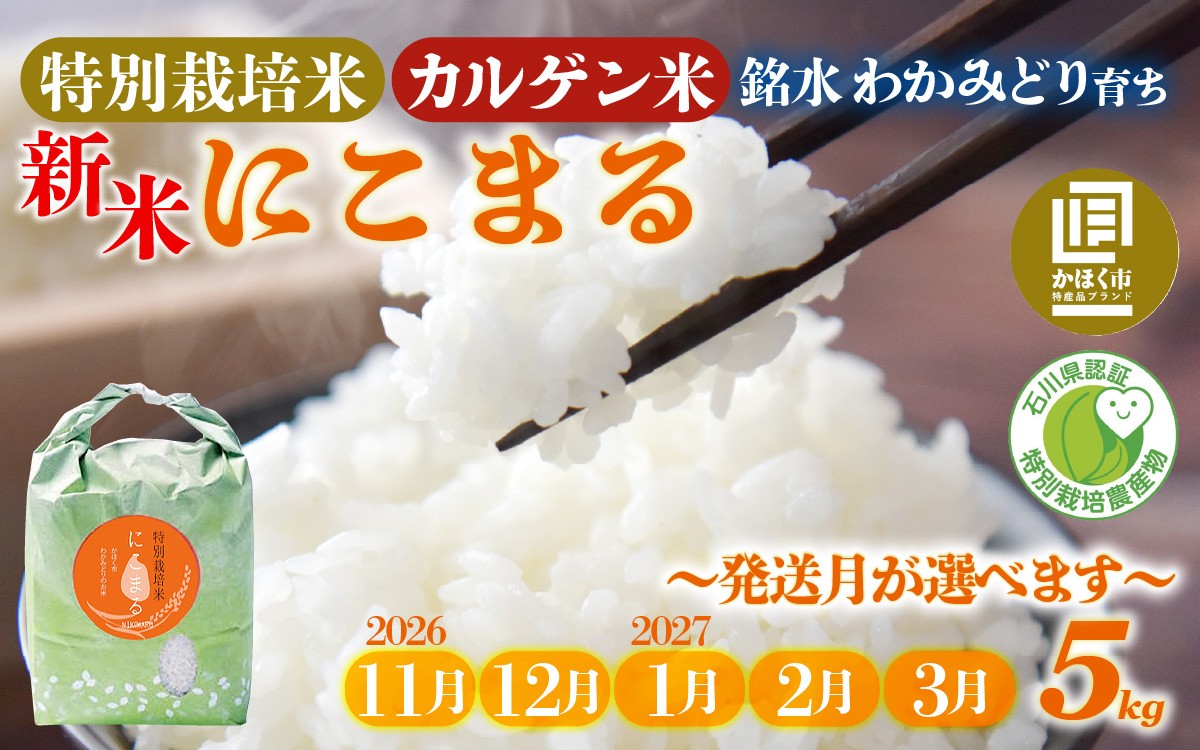 
                  【先行予約 令和8年産】【発送月が選べる】若緑産 特別栽培米「にこまる」5kg【2026年11月～2027年3月発送】 / 令和8年産 米 単一原料米 ニコマル 国産 こめ コメ 食品 常温 ご飯 お取り寄せ 5キロ
                