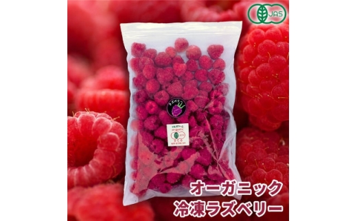 有機JAS認証 冷凍ラズベリー2種食べ比べ 4kg (500g×8袋)【1743544】