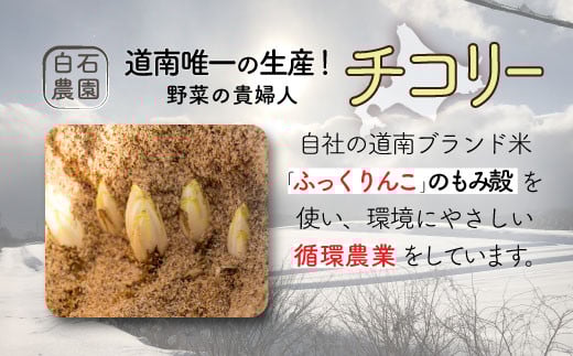 
            チコリー赤白セット ふるさと納税 人気 おすすめ ランキング 野菜 チコリ ちこり チコリー チコリー おいしい 新鮮 鮮度抜群 健康 ヘルシー 北海道 北斗市 送料無料 HOKY002
          