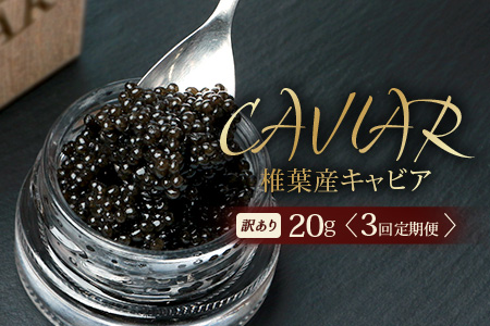 【3回定期便】【訳あり】 国産 キャビア HEIKE CAVIAR 20g × 3回 計60g 【世界三大珍味×日本三大秘境】 訳あり 宮崎 椎葉 国産 チョウザメ キャビア 定期便 魚卵 魚介 珍味