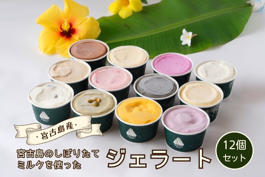 
                  [宮古島] 素材が輝く RICCOジェラート12個セット | トロピカル 夏ギフト お中元 夏 クリスマス アイス 詰め合わせ セット ジェラート おやつ お菓子 スイーツ 母の日（C101）
                