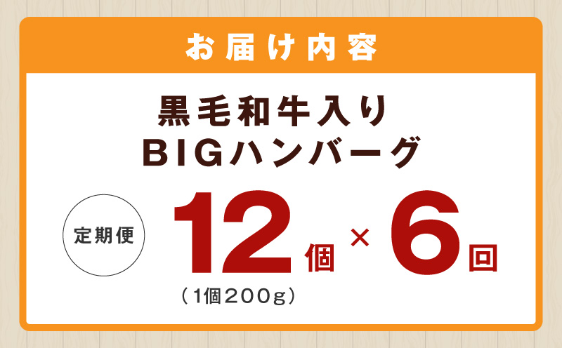 【定期便】黒毛和牛入り BIGハンバーグ（200g×12個）全6回 【毎月配送コース】 099Z413