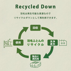 再生羽毛 掛布団 羽毛布団 ブラウン 羽毛 リサイクル
