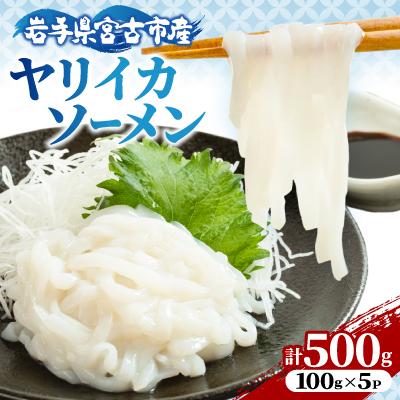 ふるさと納税 宮古市 ヤリイカソーメン宮古産100g×5パック(500g)