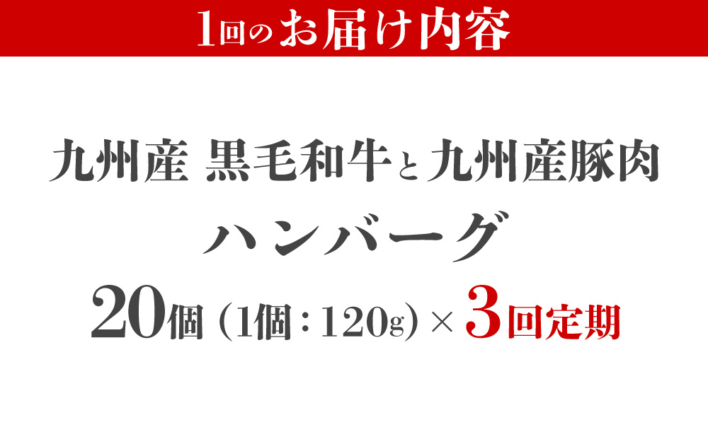 ＜定期便・全3回＞九州産黒毛和牛と九州産豚肉 ハンバーグ 20個セット | 国産牛 国産豚 肉汁 ジューシー 九州産 個包装 小分け 無添加 冷凍 惣菜 おかず 夕食 時短 簡単調理 送料無料 福岡県 那珂川市