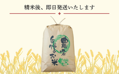 【先行予約】[令和７年産] 奥信濃飯山～木内ファームのお米～ つきあかり 精米 10㎏ (7-13A)