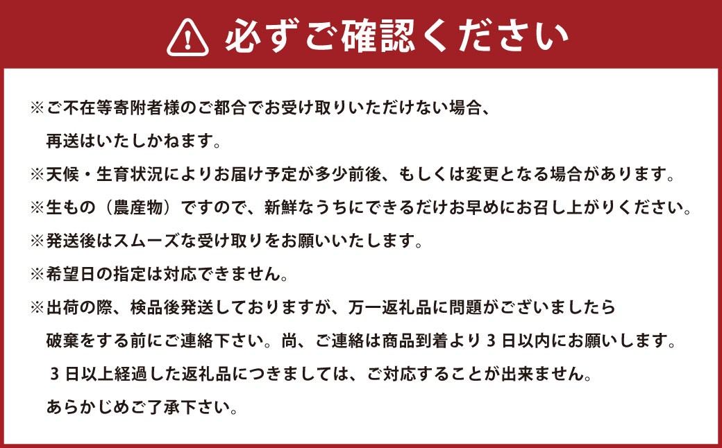 峰下農園の完熟みかん　１０kg 