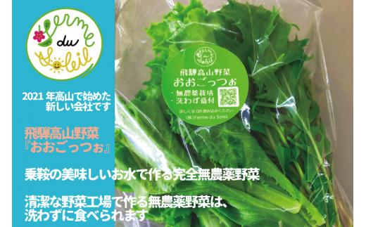 【 6ヶ月 定期便 】飛騨の新鮮モッツァレラ＆フレッシュ野菜 セット 6回お届け モッツァレラチーズ 6回 半年 チーズ ミックスリーフ 無農薬野菜 無農薬 飛騨高山 牧成舎 DF101