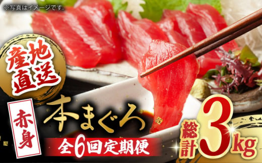 
【全6回定期便(月1回)】長崎県産 本マグロ 赤身 500g まぐろ 鮪 さしみ 刺身 刺し身 冷凍 東彼杵町/大村湾漁業協同組合 [BAK023]
