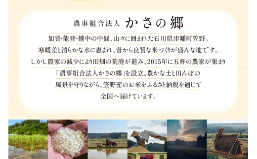 米 令和8年産 3回 定期便 特別栽培米 ひゃくまん穀 10kg [ かさの郷 石川県津幡町 tb17bgj610006] お米 こめ 令和8年 ひゃくまんごく 10キロ おこめ ご飯 ごはん ゴハン