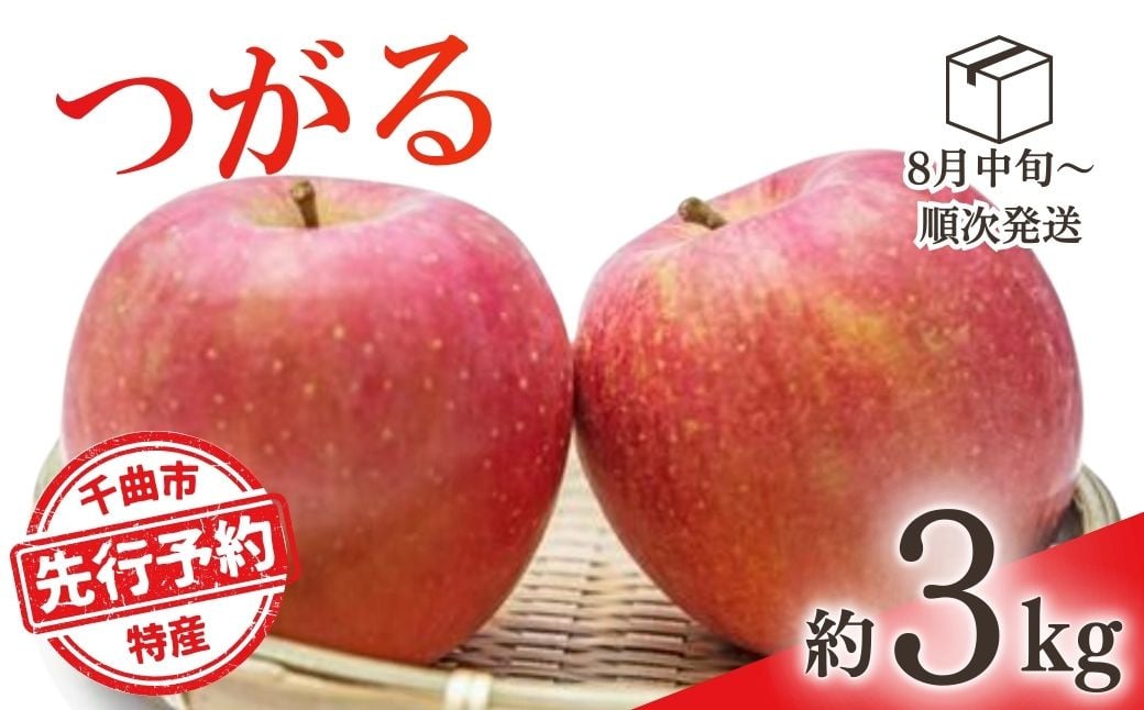 
            【2025年先行予約】りんご つがる 約3kg 林檎 津軽 千曲市 長野県産 信州
          