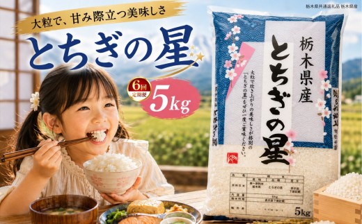 【定期6回】新米 令和8年度 栃木県産 とちぎの星 白米 5kg | ふるさと 納税 お弁当 お米 精米 美味しい 白米 つやつや とちぎ 大粒 共通返礼品 送料無料 那珂川町 栃木県【栃木県共通返礼品】
