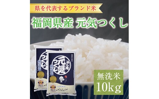 
										
										令和6年産 福岡県産元気つくし無洗米10kg(5kg×2) [a8197] 株式会社 藤食糧 【返礼品】添田町 ふるさと納税
									