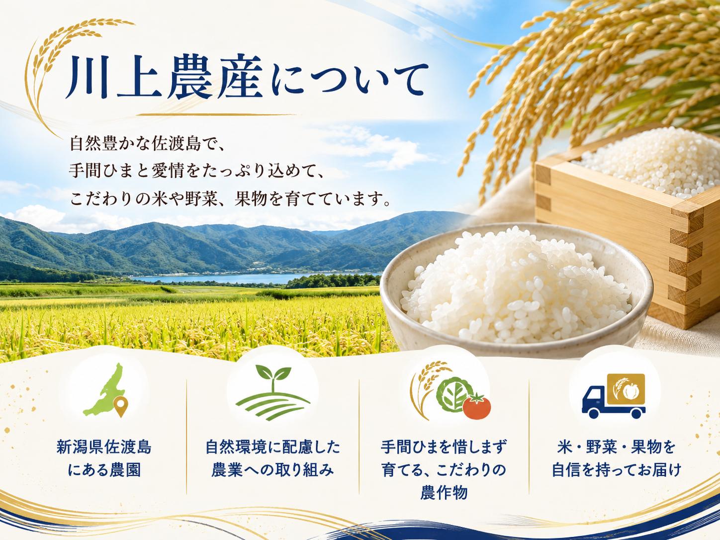 佐渡からひと足早い新米！極早生新品種「なつひめ」