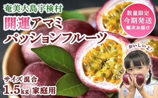 【2026年6月～7月頃順次発送予定】パッションフルーツ 1.5kg ( 家庭用 )  バラ詰め サイズ混合 【数量限定 期間限定】 鹿児島県産 国産 奄美大島 宇検村 果物 フルーツ リリコイ 果物時計草 デザート 旬 新物 奄美大島開運酒造