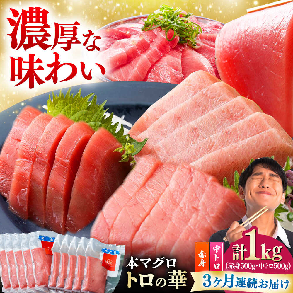【ふるさと納税】【全3回定期便】対馬産 本マグロ 1kg（赤身500g、中トロ500g） ≪対馬市≫【桐谷商店】 トロの華 対馬 新鮮 マグロ トロ 鮪 刺身 鮮度抜群[WAQ052]