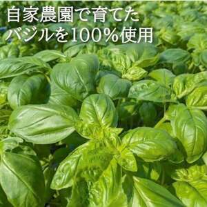 濃厚・無添加　バジルソース(ジェノベーゼソース)　瓶　100g×5本【配送不可地域：離島】【1493640】