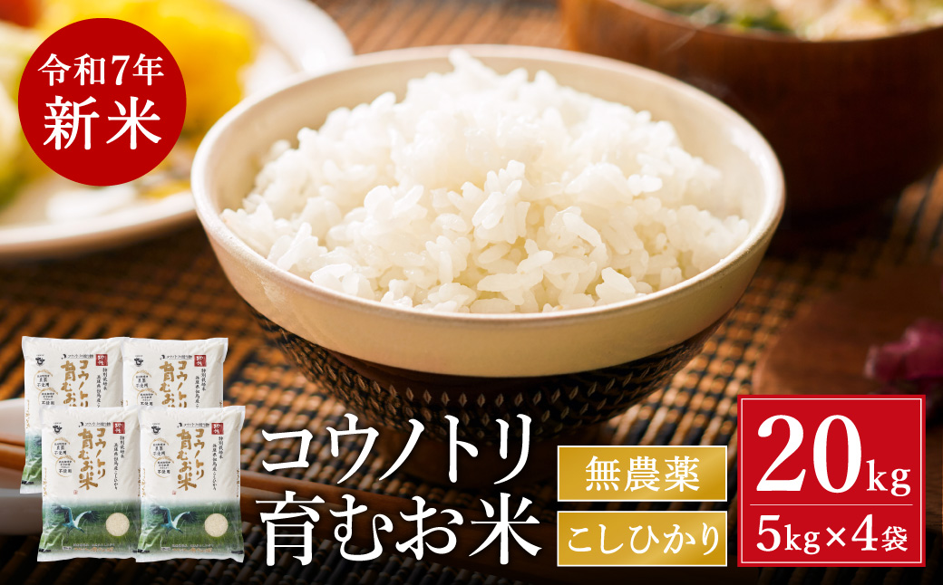 【令和7年産先行予約】新米 無農薬 米 20kg コウノトリ育むお米 新米 但馬産 こしひかり 兵庫県産(5kg×4袋)（94-002）無農薬 お米 20キロ 精米 白米 コウノトリ米 コシヒカリ 農薬不使用 特別栽培米 新米 予約 コメ こめ ご飯 ライス 無農薬米
