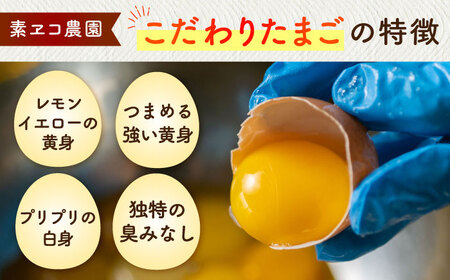 卵の雫（プレーン）4粒×66袋 / お菓子 お菓子 お菓子 お菓子 お菓子 お菓子 お菓子 / 佐賀県 / 素ヱコ農園 [41AEAA015]