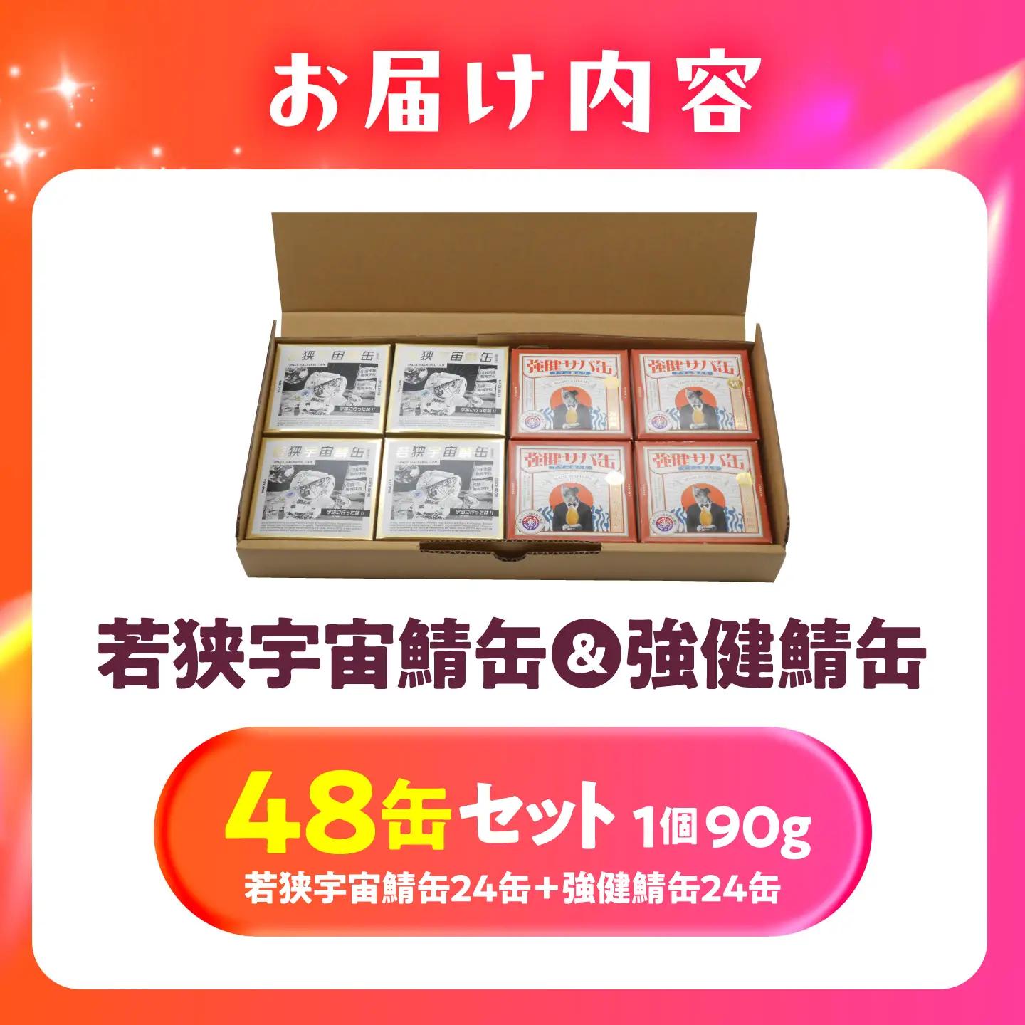 若狭宇宙鯖缶＆強健サバ缶アマニ油入り 食べ比べ48缶セット / サバ缶 鯖缶 宇宙日本食 アマニ油 オメガ3 保存食 小浜市 / 福井缶詰[BFAB084]